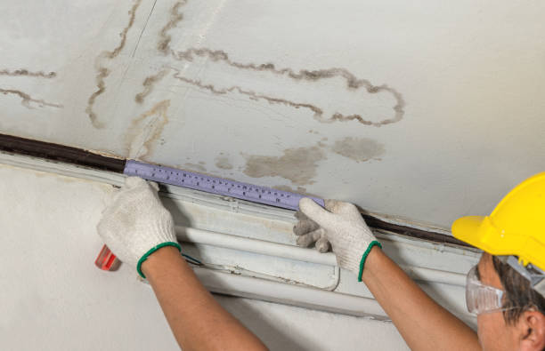 Reliable Water Damage contractor in North Bend, WA by Water Damage Irwin